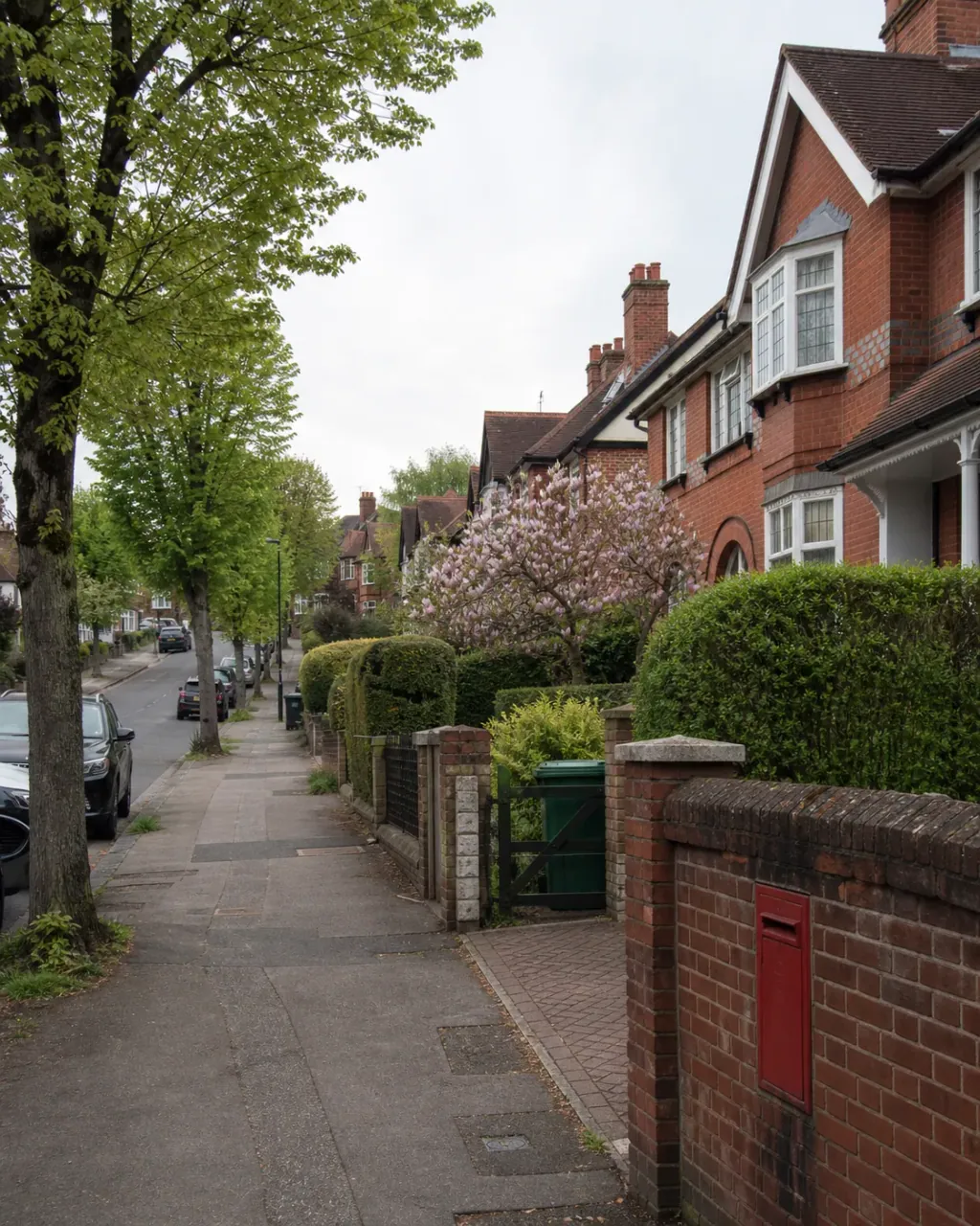 A leafy Caversham street of substantial brick houses behind clipped hedges, a magnolia in flower by a garden wall