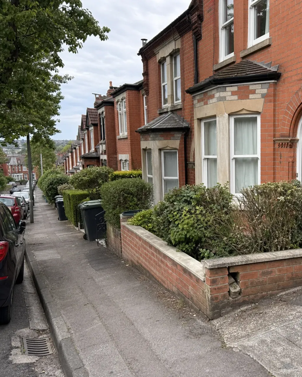 Bay-fronted Victorian terraces stepping down a Katesgrove street, red brick with pale stone detail, hedged front walls and wheelie bins by the gates