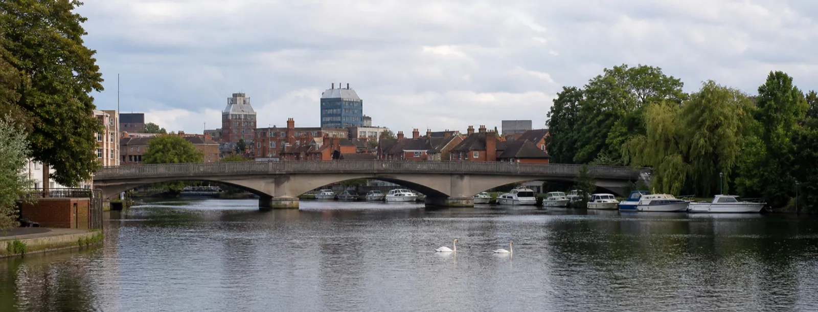 The Thames at Reading, a road bridge crossing to the tree-lined Caversham bank, moored boats and swans on the water